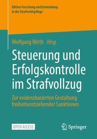 bokomslag Steuerung und Erfolgskontrolle im Strafvollzug