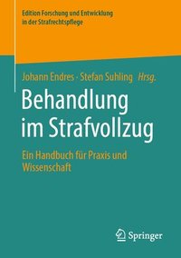 bokomslag Behandlung im Strafvollzug