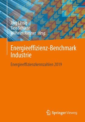 Jörg Lässig, Tino Schütte, Wilhelm Riesner - Energieeffizienz-Benchmark Industrie, Häftad