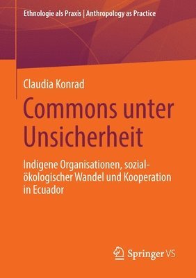 bokomslag Commons unter Unsicherheit