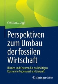 bokomslag Perspektiven zum Umbau der fossilen Wirtschaft