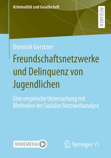 Dominik Gerstner - Freundschaftsnetzwerke und Delinquenz von Jugendlichen, Häftad