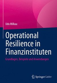 bokomslag Operational Resilience in Finanzinstituten