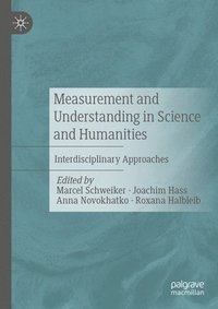 bokomslag Measurement and Understanding in Science and Humanities
