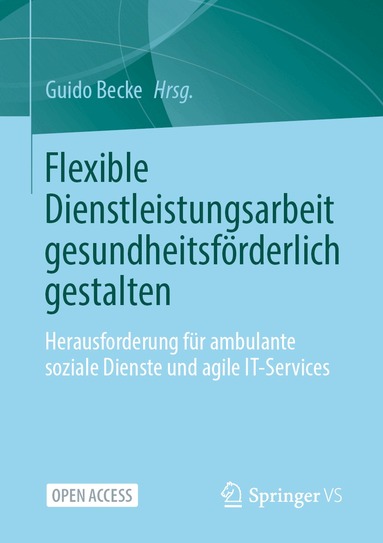 Guido Becke - Flexible Dienstleistungsarbeit gesundheitsförderlich gestalten, Häftad