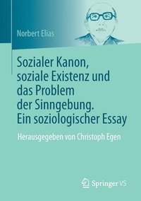 bokomslag Sozialer Kanon, soziale Existenz und das Problem der Sinngebung. Ein soziologischer Essay