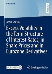 bokomslag Excess Volatility in the Term Structure of Interest Rates, in Share Prices and in Eurozone Derivatives
