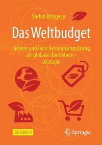 bokomslag Das Weltbudget