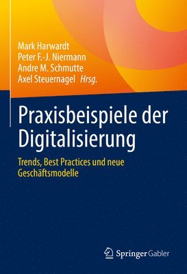 bokomslag Praxisbeispiele der Digitalisierung