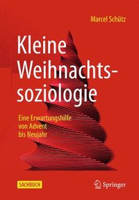 bokomslag Kleine Weihnachtssoziologie - Eine Erwartungshilfe von Advent bis Neujahr