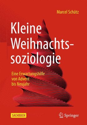 bokomslag Kleine Weihnachtssoziologie - Eine Erwartungshilfe von Advent bis Neujahr