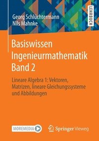 bokomslag Basiswissen Ingenieurmathematik Band 2