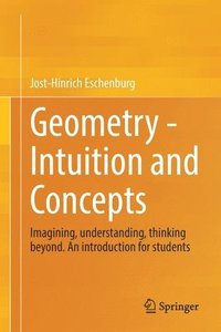 bokomslag Geometry -  Intuition and Concepts