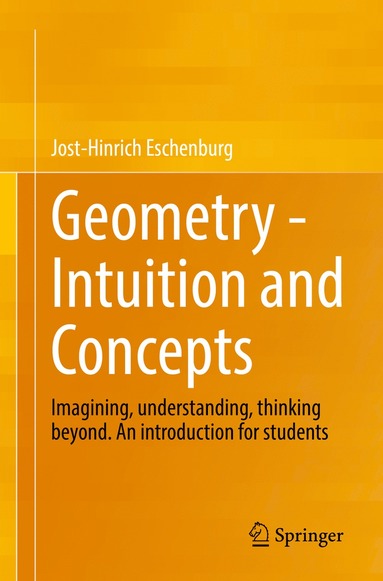 bokomslag Geometry -  Intuition and Concepts