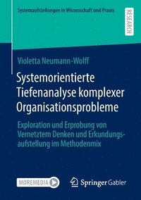 bokomslag Systemorientierte Tiefenanalyse komplexer Organisationsprobleme