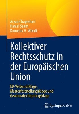 bokomslag Kollektiver Rechtsschutz in der Europischen Union