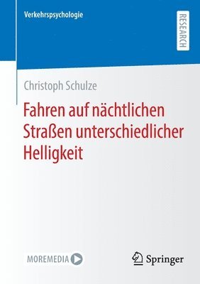 bokomslag Fahren auf nchtlichen Straen unterschiedlicher Helligkeit