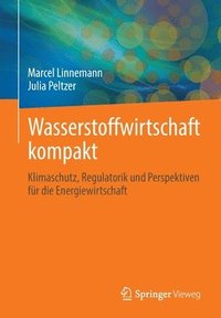 bokomslag Wasserstoffwirtschaft kompakt