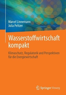 Wasserstoffwirtschaft kompakt 1