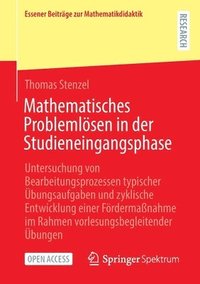 bokomslag Mathematisches Problemlsen in der Studieneingangsphase