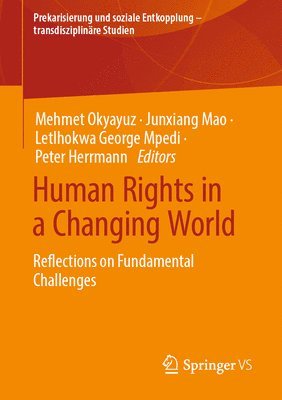 Mehmet Okyayuz, Junxiang Mao, Letlhokwa George Mpedi, Peter Herrmann - Human Rights in a Changing World, Häftad