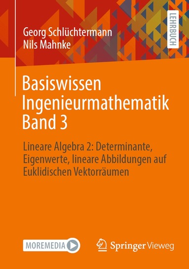 Georg Schlüchtermann, Nils Mahnke - Basiswissen Ingenieurmathematik Band 3, Häftad