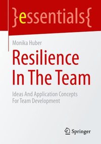 bokomslag Resilience In The Team