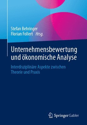 bokomslag Unternehmensbewertung und konomische Analyse