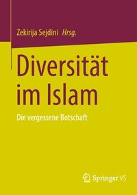 bokomslag Diversitt im Islam