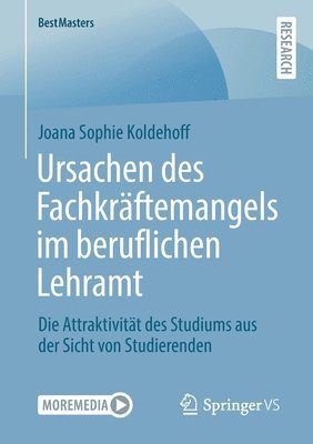 bokomslag Ursachen des Fachkrftemangels im beruflichen Lehramt