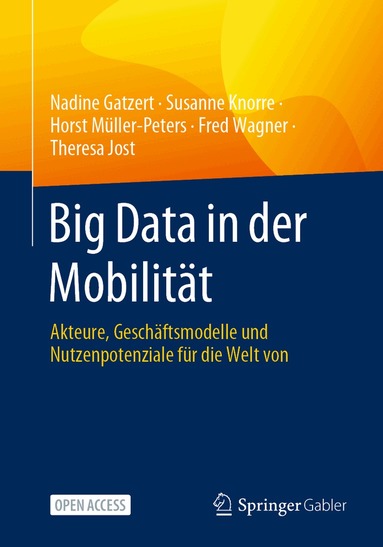 Nadine Gatzert, Susanne Knorre, Horst Müller-Peters, Fred Wagner, Theresa Jost - Big Data in der Mobilität, Häftad