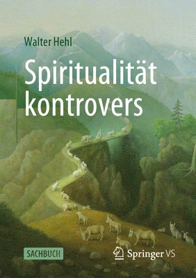 Walter Hehl - Spiritualität kontrovers, Häftad