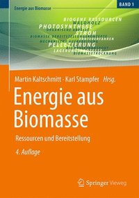 bokomslag Energie aus Biomasse