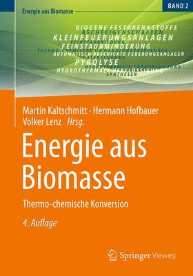 bokomslag Energie aus Biomasse