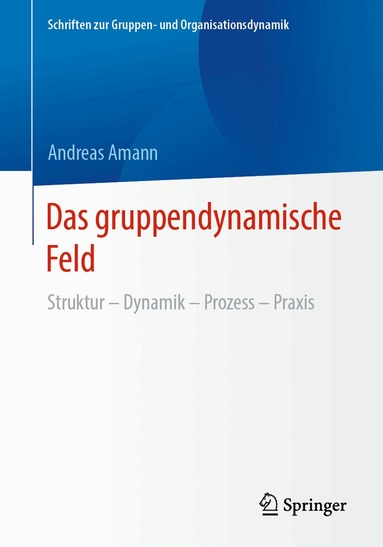 Andreas Amann - Das gruppendynamische Feld, Häftad