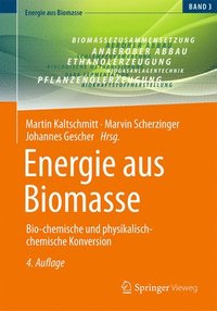 bokomslag Energie aus Biomasse