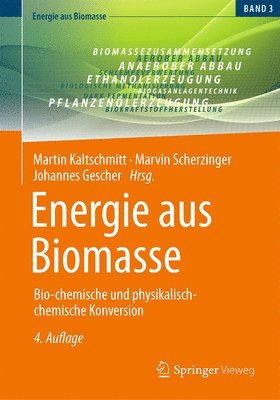 bokomslag Energie aus Biomasse