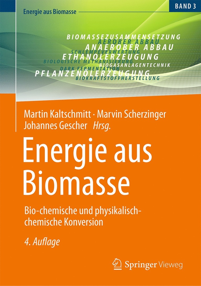 Martin Kaltschmitt, Marvin Scherzinger, Johannes Gescher - Energie aus Biomasse, Inbunden