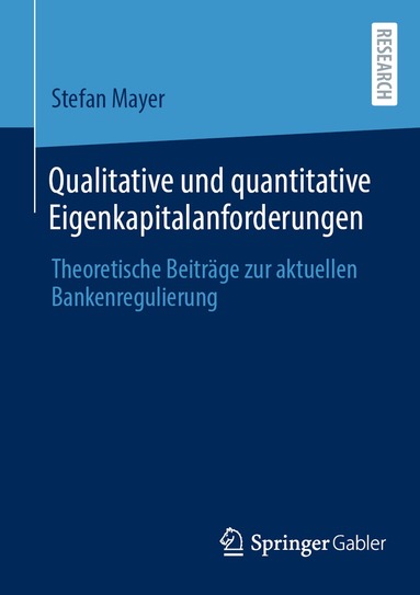Stefan Mayer - Qualitative und quantitative Eigenkapitalanforderungen, Häftad