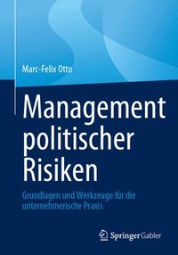 bokomslag Management politischer Risiken