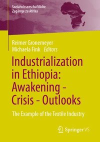 bokomslag Industrialization in Ethiopia: Awakening - Crisis - Outlooks