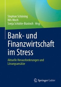 bokomslag Bank- und Finanzwirtschaft im Stress