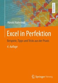 bokomslag Excel in Perfektion