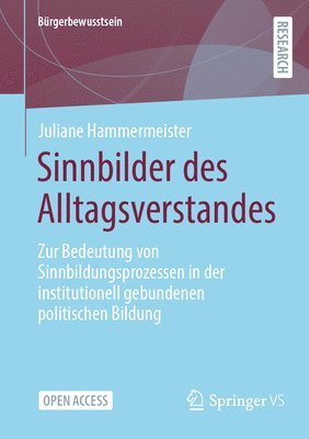 bokomslag Sinnbilder des Alltagsverstandes