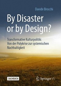 bokomslag By Disaster or by Design?