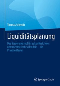 bokomslag Liquidittsplanung