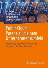 bokomslag Public Cloud Potenzial in einem Unternehmensumfeld