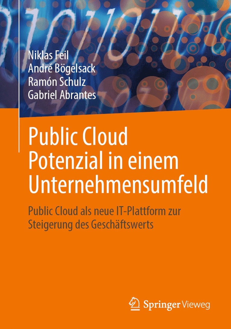 Niklas Feil, André Bögelsack, Ramón Schulz, Gabriel Abrantes - Public Cloud Potenzial in einem Unternehmensumfeld, Inbunden