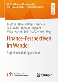 bokomslag Finance-Perspektiven im Wandel