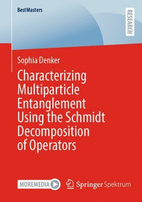 Characterizing Multiparticle Entanglement Using the Schmidt Decomposition of Operators 1